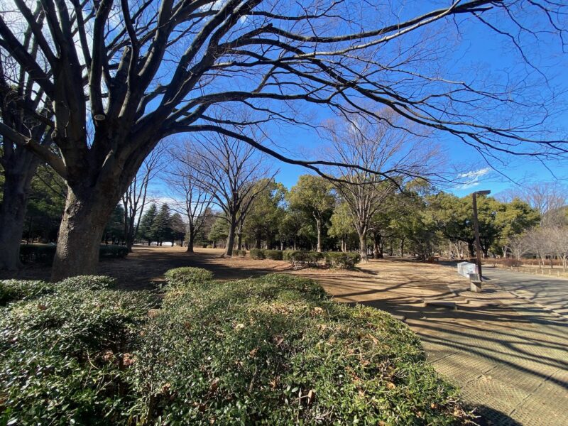 Tokyo, Japan. Image © PlanetSKI